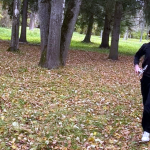 Первенство Вологодской области по СРП Первенство Вологодской области по СРП