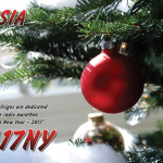 «Россия новогодняя – 2017» — итоги