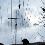 Тамбов: программа молодёжных грантов СРР работает