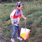 Владимир: состоялись чемпионат и первенство области по СРП